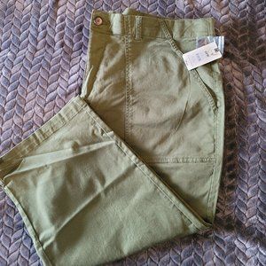 NWT Terra & Sky Olive Green Capris size 20W